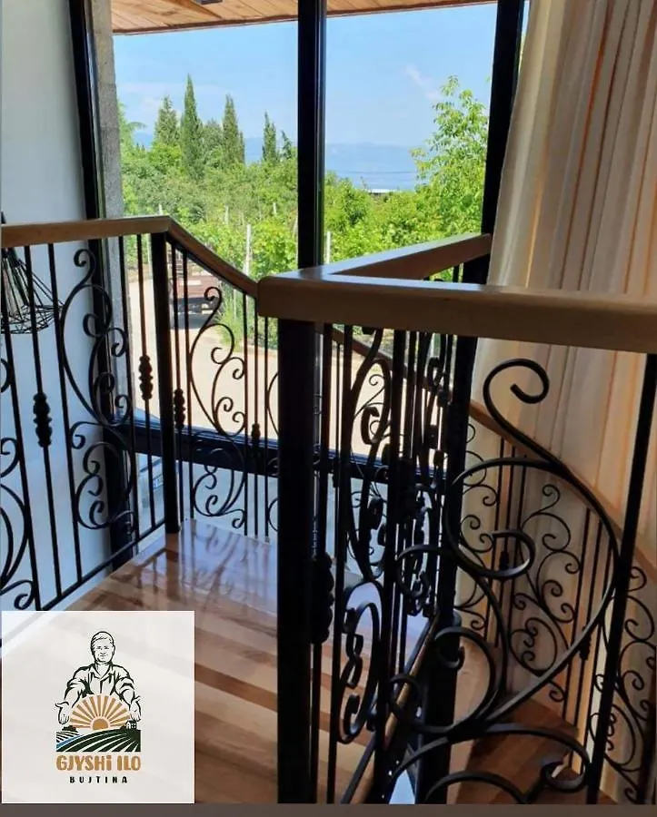 Hotel Bujtina Gjyshi Ilo à Tushemisht 0*,