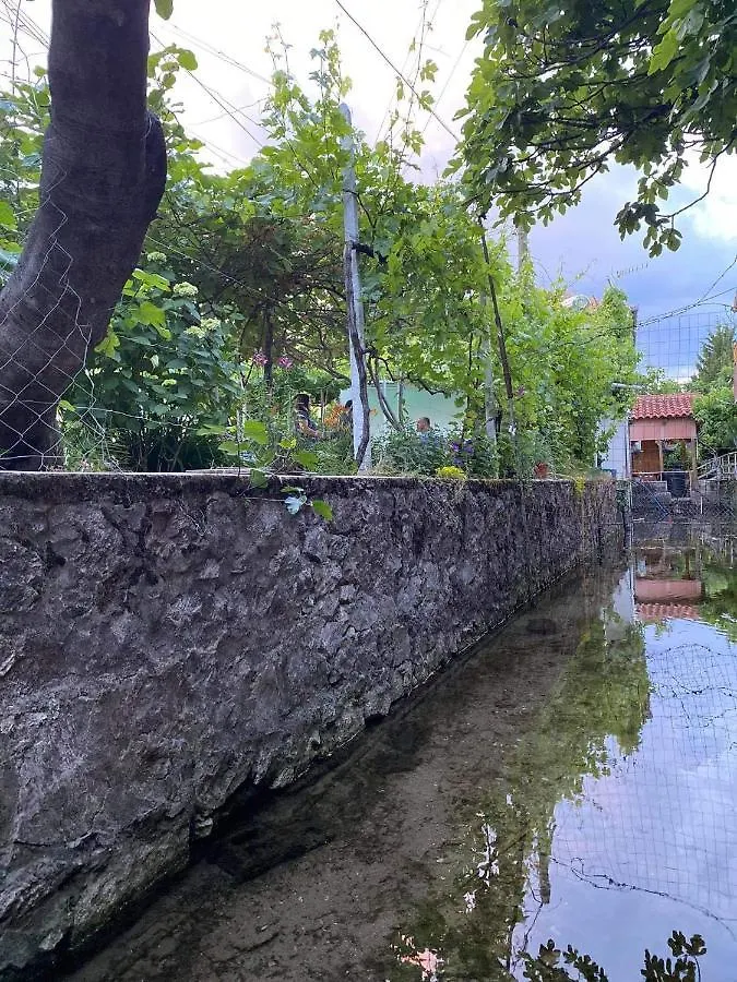 Maison d'hôtes Hotel Bujtina Gjyshi Ilo à Tushemisht Albanie