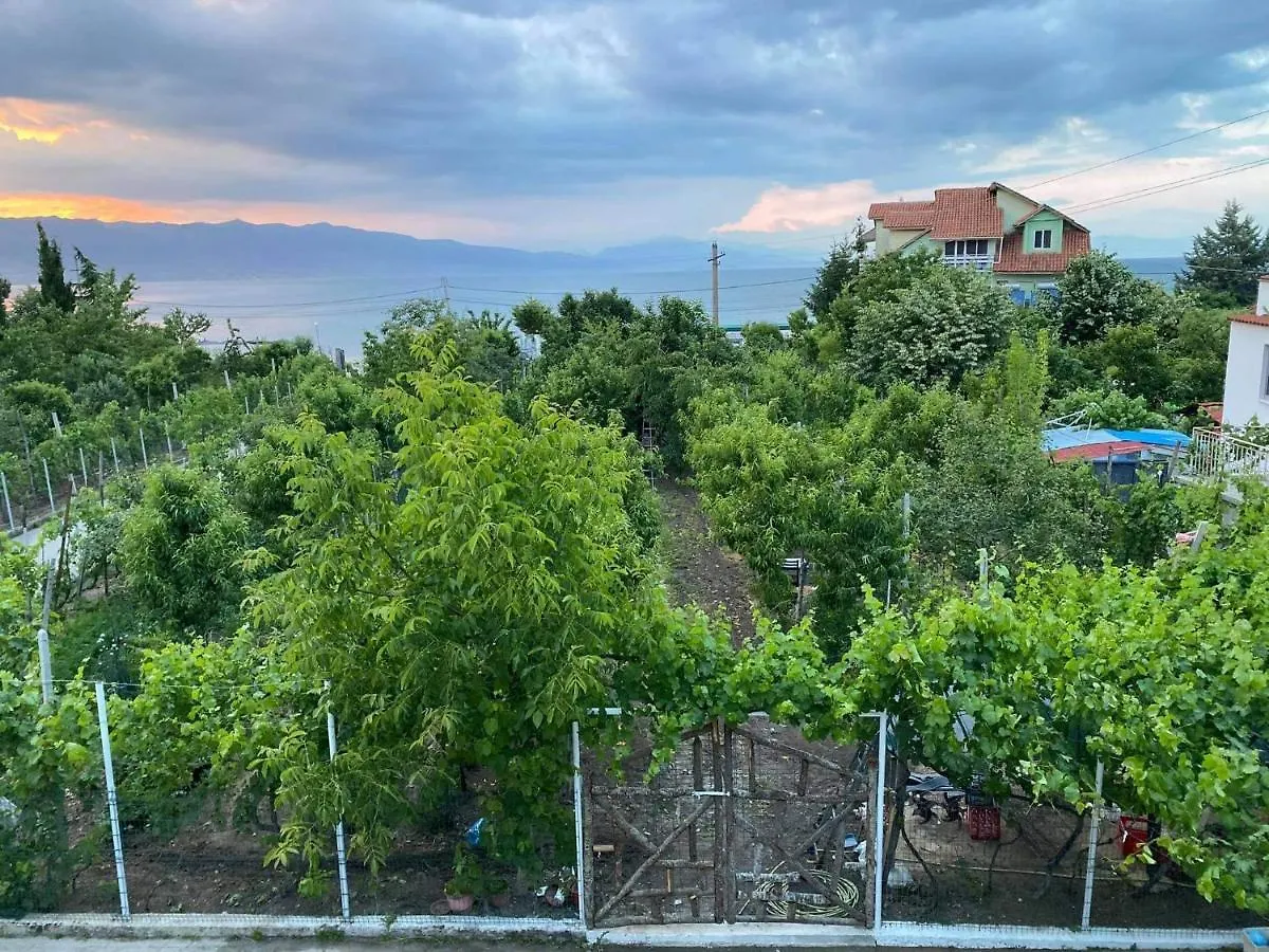 Hotel Bujtina Gjyshi Ilo à Tushemisht Maison d'hôtes