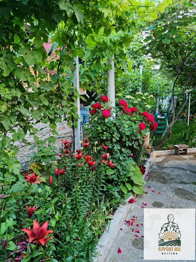 Hotel Bujtina Gjyshi Ilo à Tushemisht Albanie