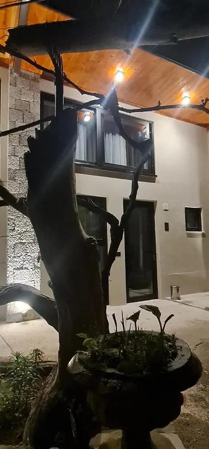 Hotel Bujtina Gjyshi Ilo à Tushemisht Albanie
