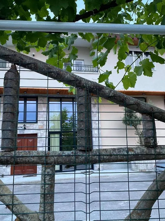 Отель Bujtina Gjyshi Ilo Tushemisht 0*,