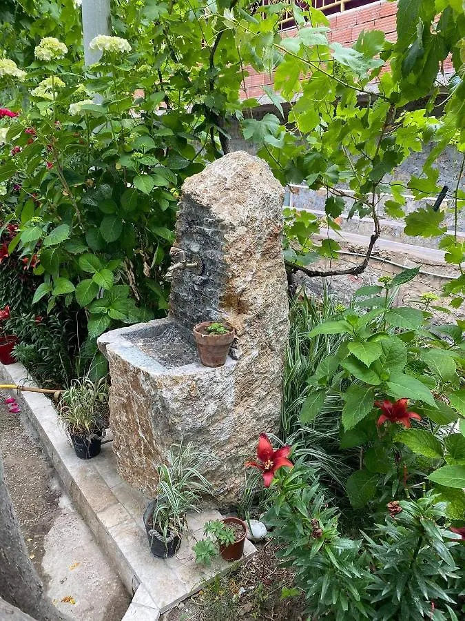 Отель Bujtina Gjyshi Ilo Tushemisht Гостевой дом